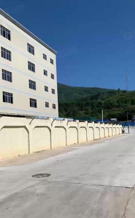 清溪全新重工业厂房3万方，消防，环评均有，可任意分租