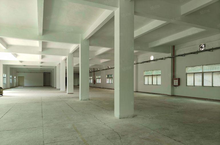 清溪三中原房东小独院3500平方实际面积出租水电齐全