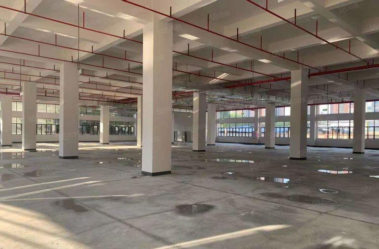 实际面积租！清溪三中原房东红本独栋8000平厂房仓库低价出租