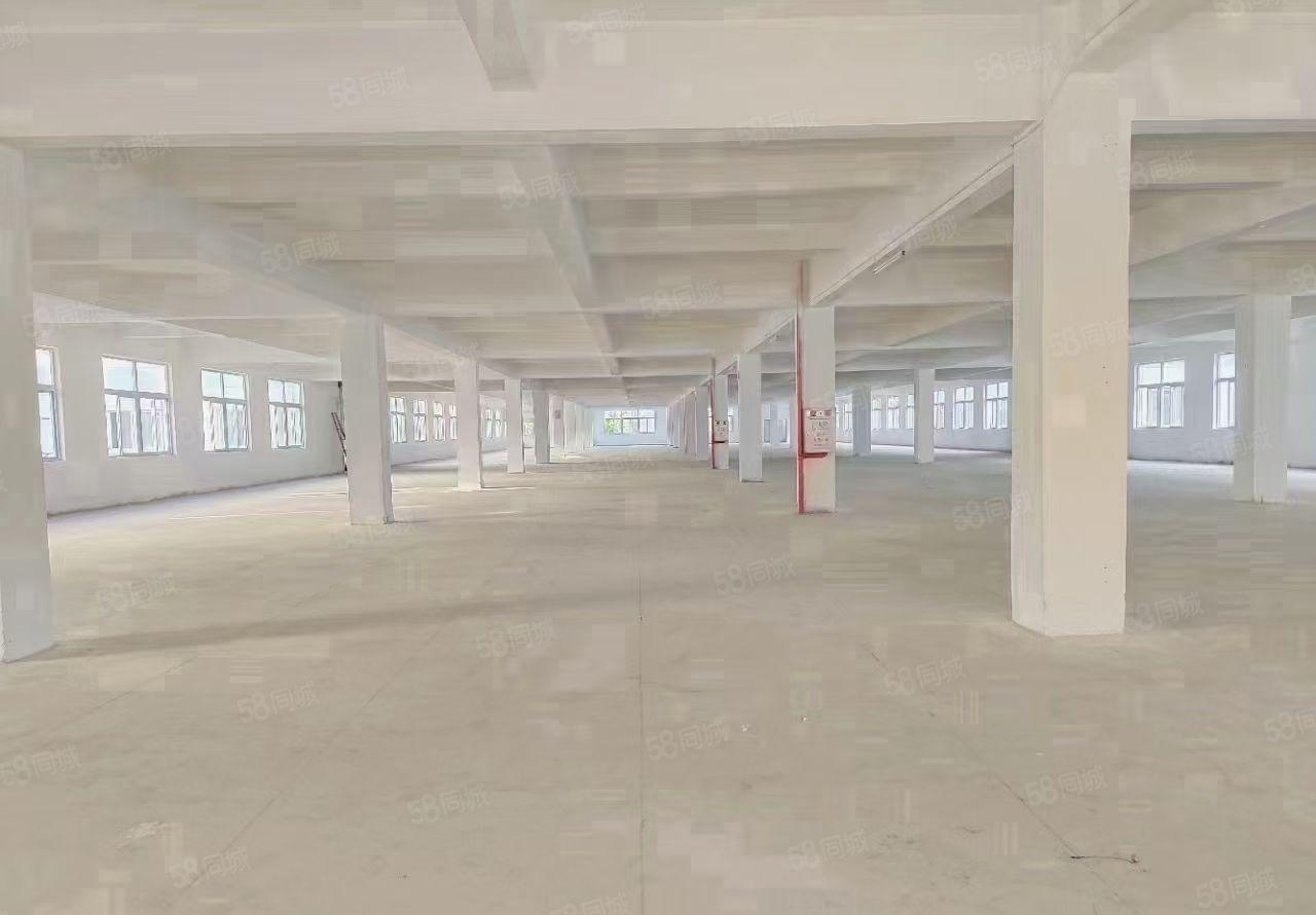 清溪镇原房东独门独院红本厂房出租面积实量水电可过户大小可分租