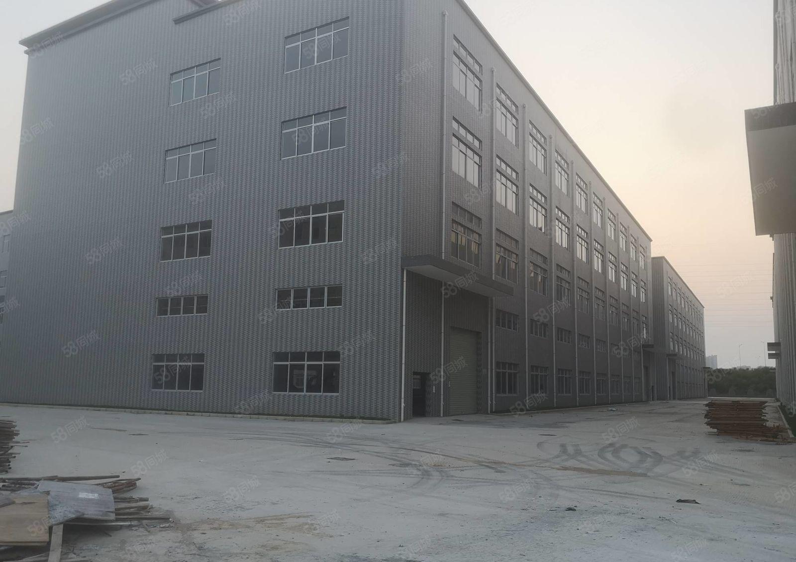 清溪镇全新标准厂房独院50000平出租 园区形象好带红本可分