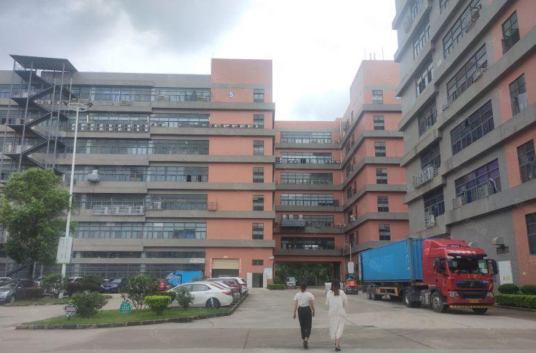 低价，清溪谢坑3000平方红本物流仓库出租1000平方起分租