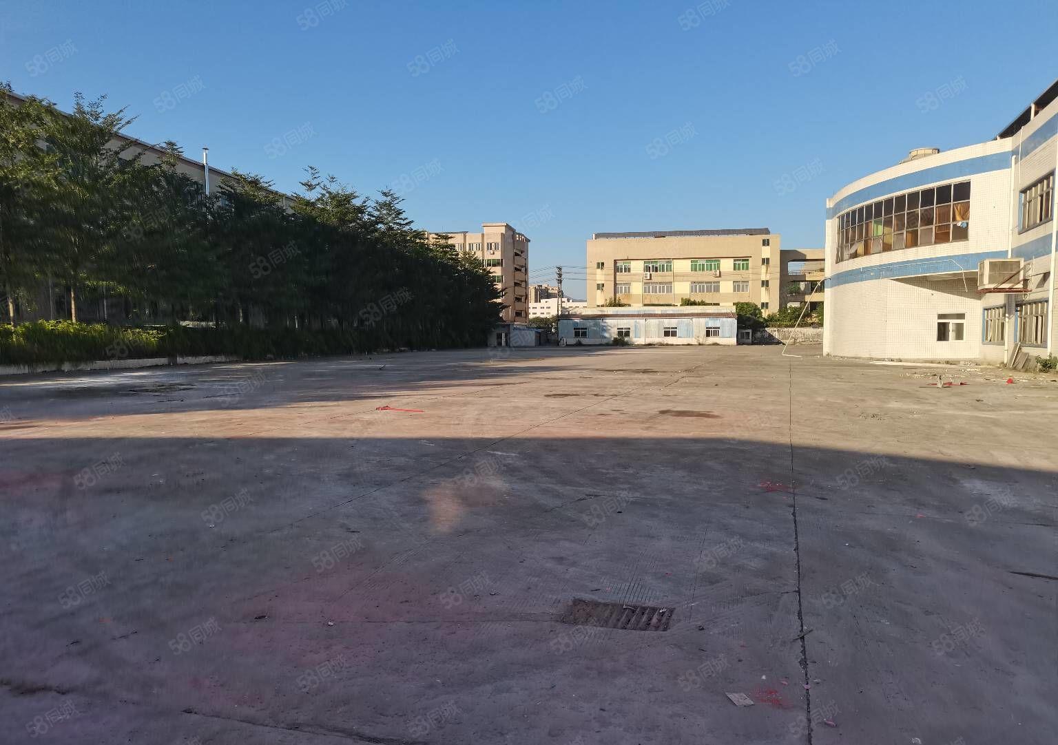 清溪三中高速出口新出独院厂房40000平出租可分租 空地超大