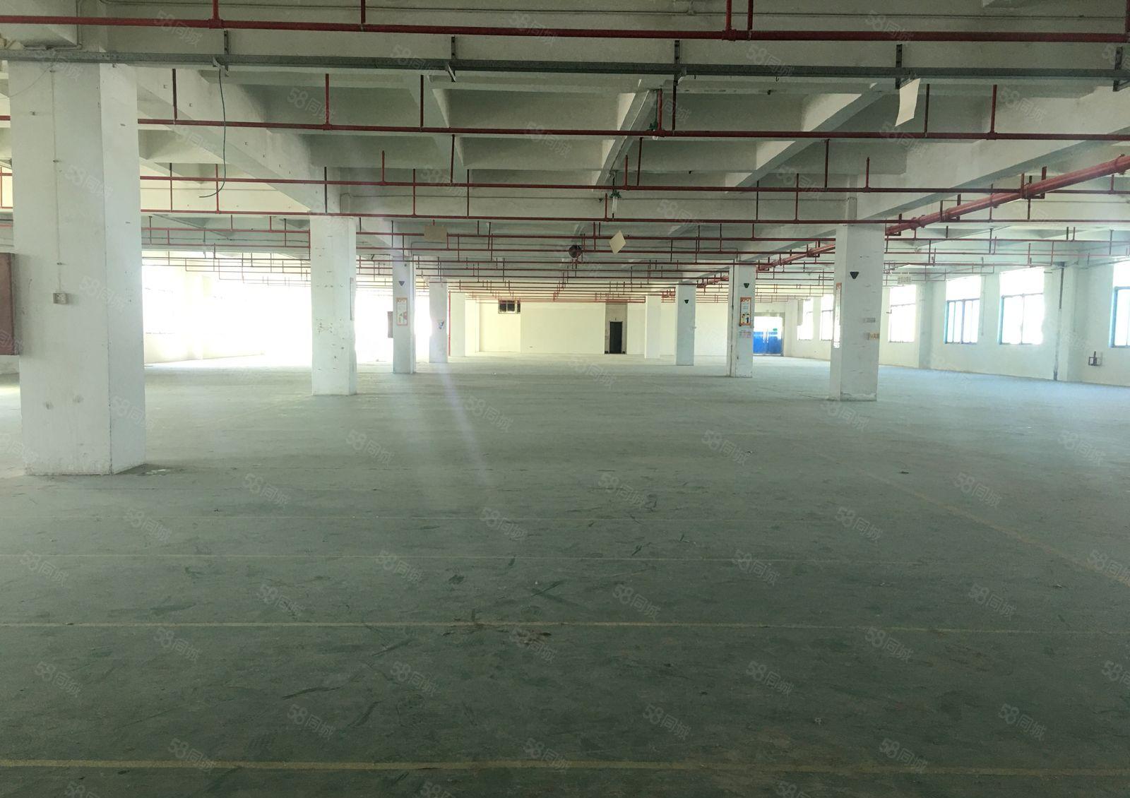 清溪大浦工业区一楼2百5百8百1千平红本独院仓库厂房出租分租