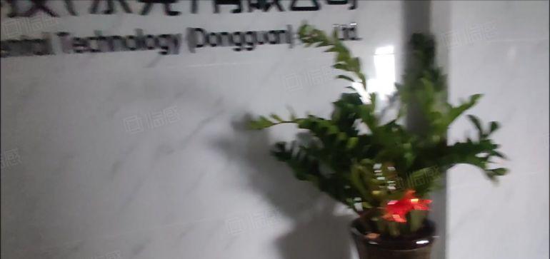 清溪客运站2千平标准厂房，现成装修大小可分，消防齐全可做电池