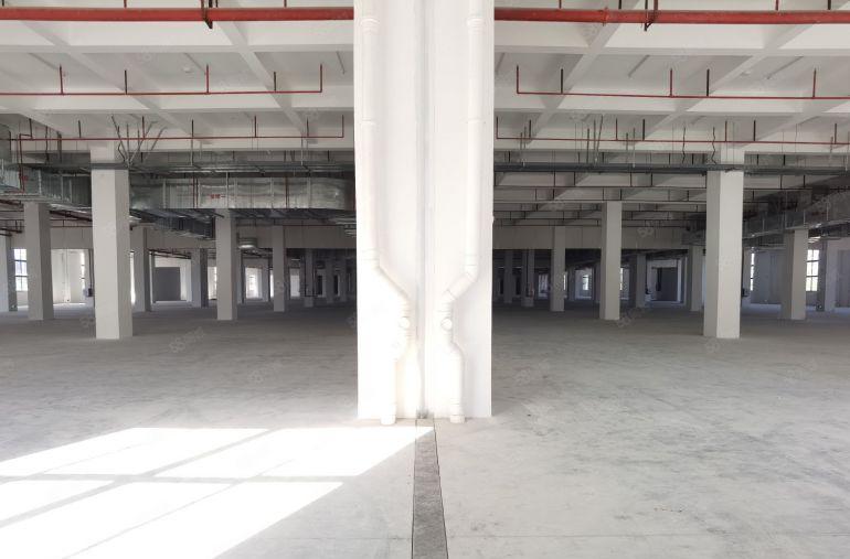 清溪镇3.3万平方全新原房东厂房出租建筑面积可做物流带平台