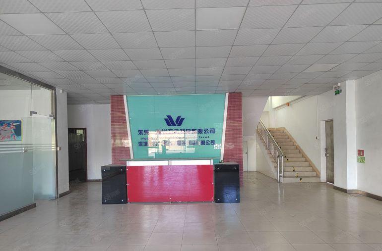 清溪镇三中村 标准独院厂房10000平出租带装修办公室空地大