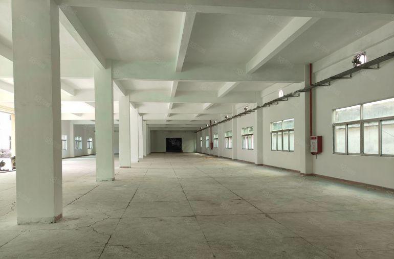 清溪三中原房东小独院3500平方实际面积出租水电齐全