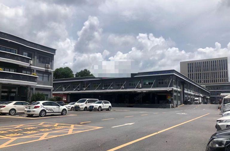 价格好谈15元清溪三中10米高单一层1000平起租带卸货平台