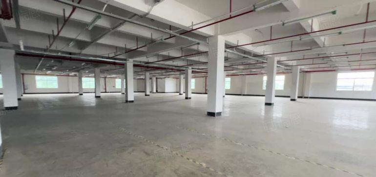 （出租）12元一平原房东独门独院厂房出租10000可分