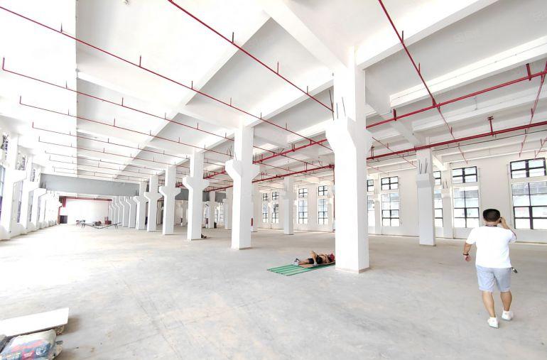 清溪镇原房东全新一楼3000平米厂房出租，带牛腿，层高7米