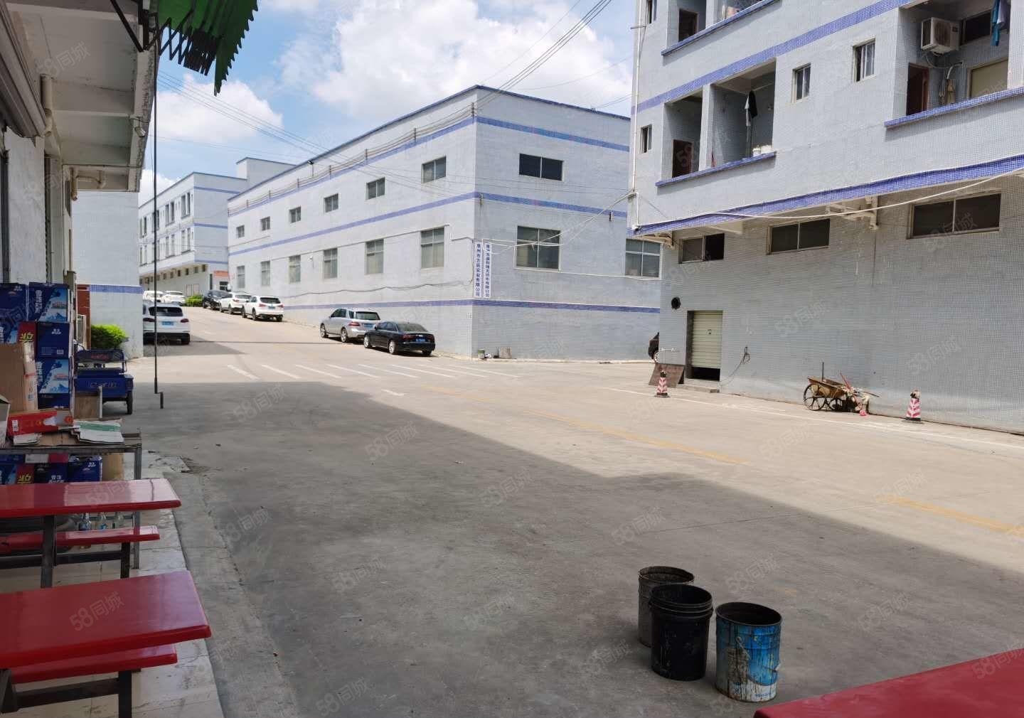 清溪6000平原房东独门独院出租可分租1000平起分