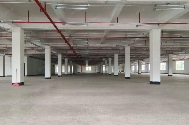 清溪全新重工业厂房3万方，消防，环评均有，可任意分租