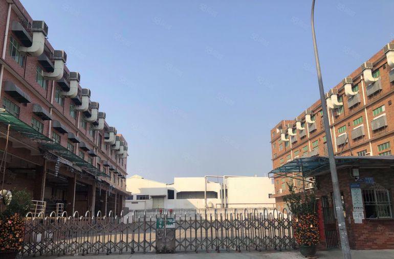 电商仓库物流仓出租，清溪新出5000平带卸货平台厂房仓库出租