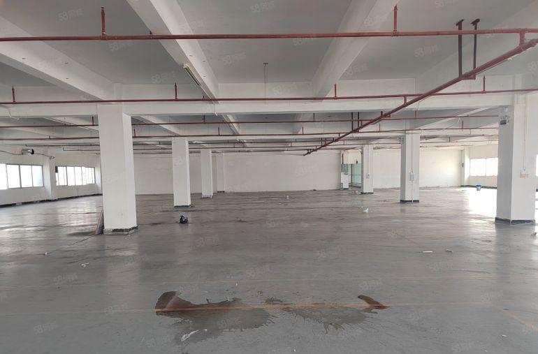 清溪镇三中村 主路边新出楼上1800平低价出租 带装修办公室