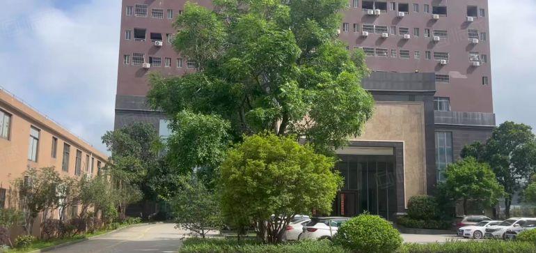 清溪大利新出原房东3楼6600平方厂房出租可以做电池带现成