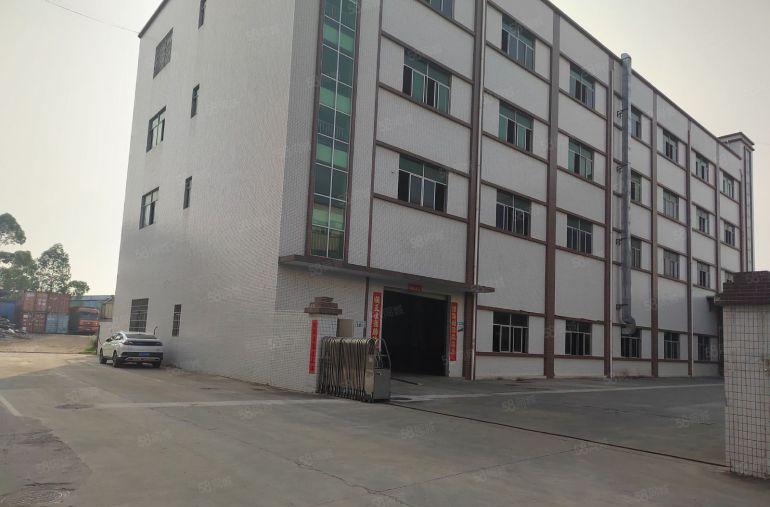 清溪镇三中村 新出标准一楼1180平厂房出租 带装修办公室