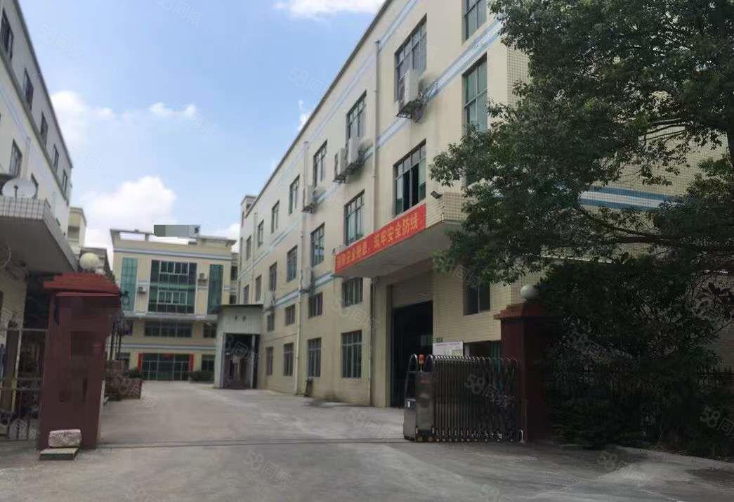 原房东出租清溪三中独门独院厂房3000平方 精装修 价格优惠