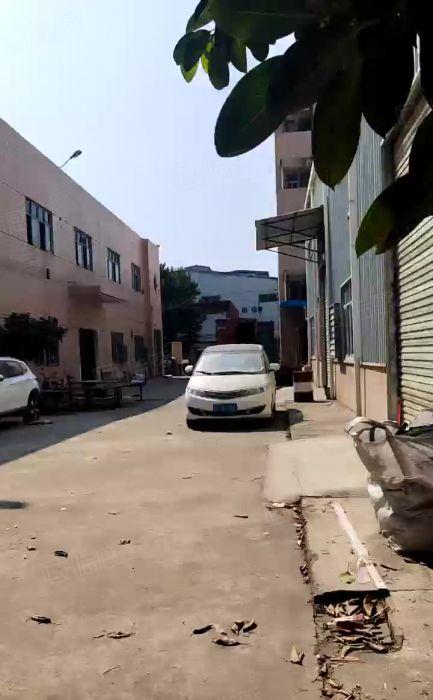 清溪厂房三中高速路口主干道旁独院厂房5500平出租