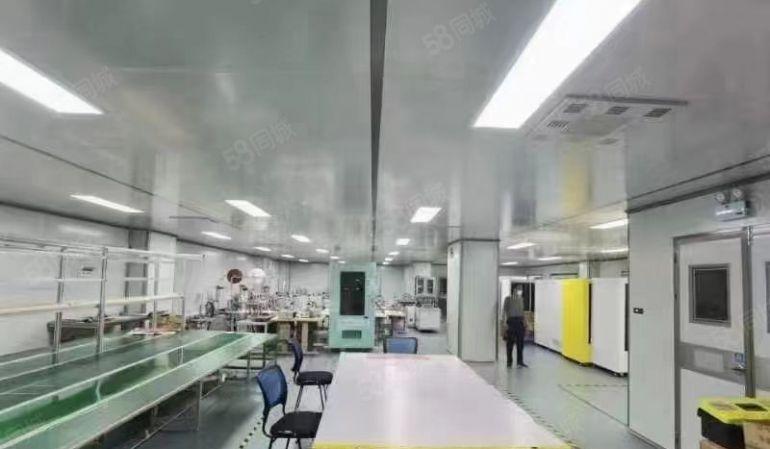 清溪三中新出标准厂房一楼1000平无尘车间