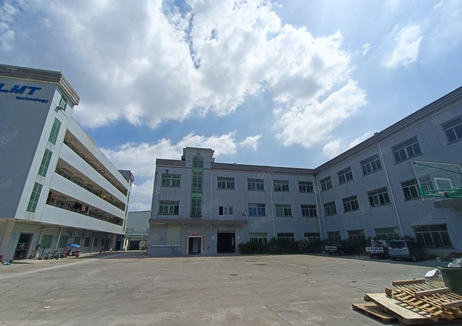 清溪谢坑新出标准一楼2000平带办公室，现成地坪漆，有消防喷