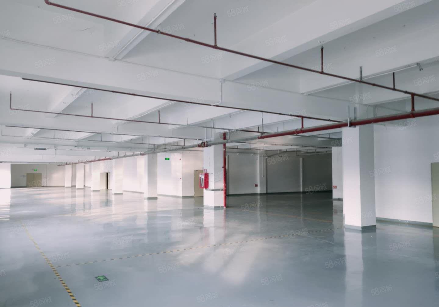 清溪大浦工业区原房东独院2000平红本楼上仓库厂房出租可分租