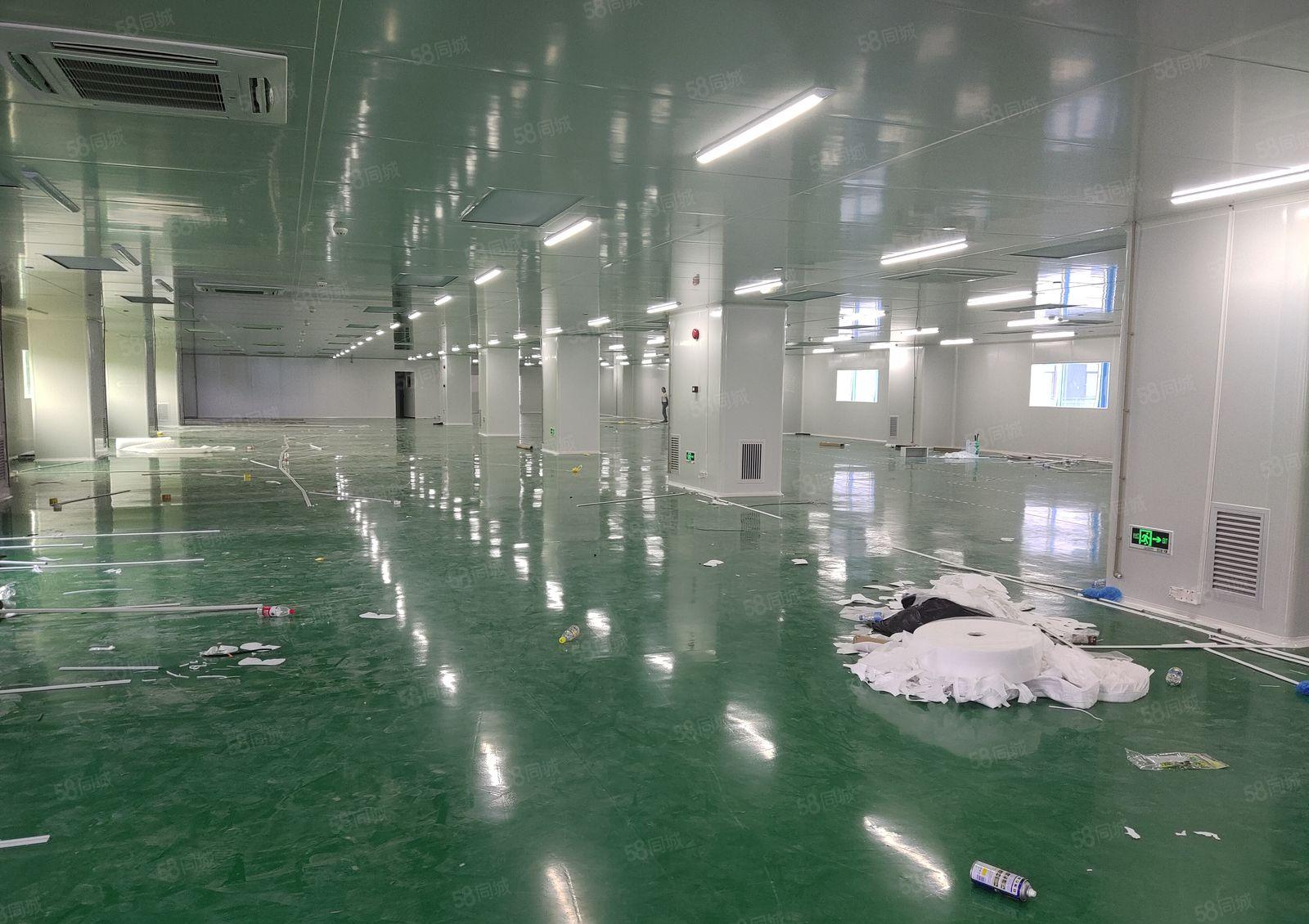 清溪三中工业区1900平现成精装修无尘车间仓库厂房出租可分租