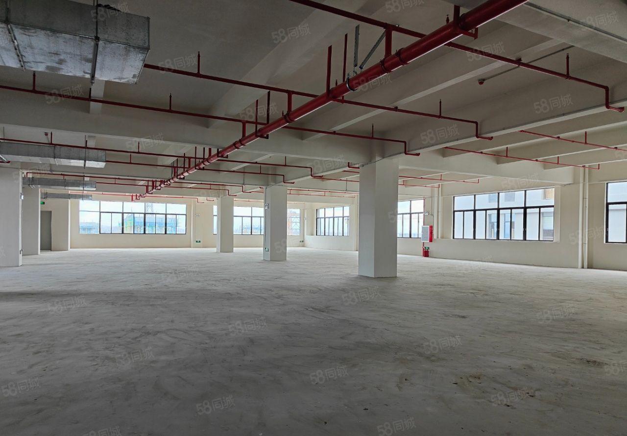 清溪镇原房东独门独院标准厂房出租，园区证件齐全，超大空地