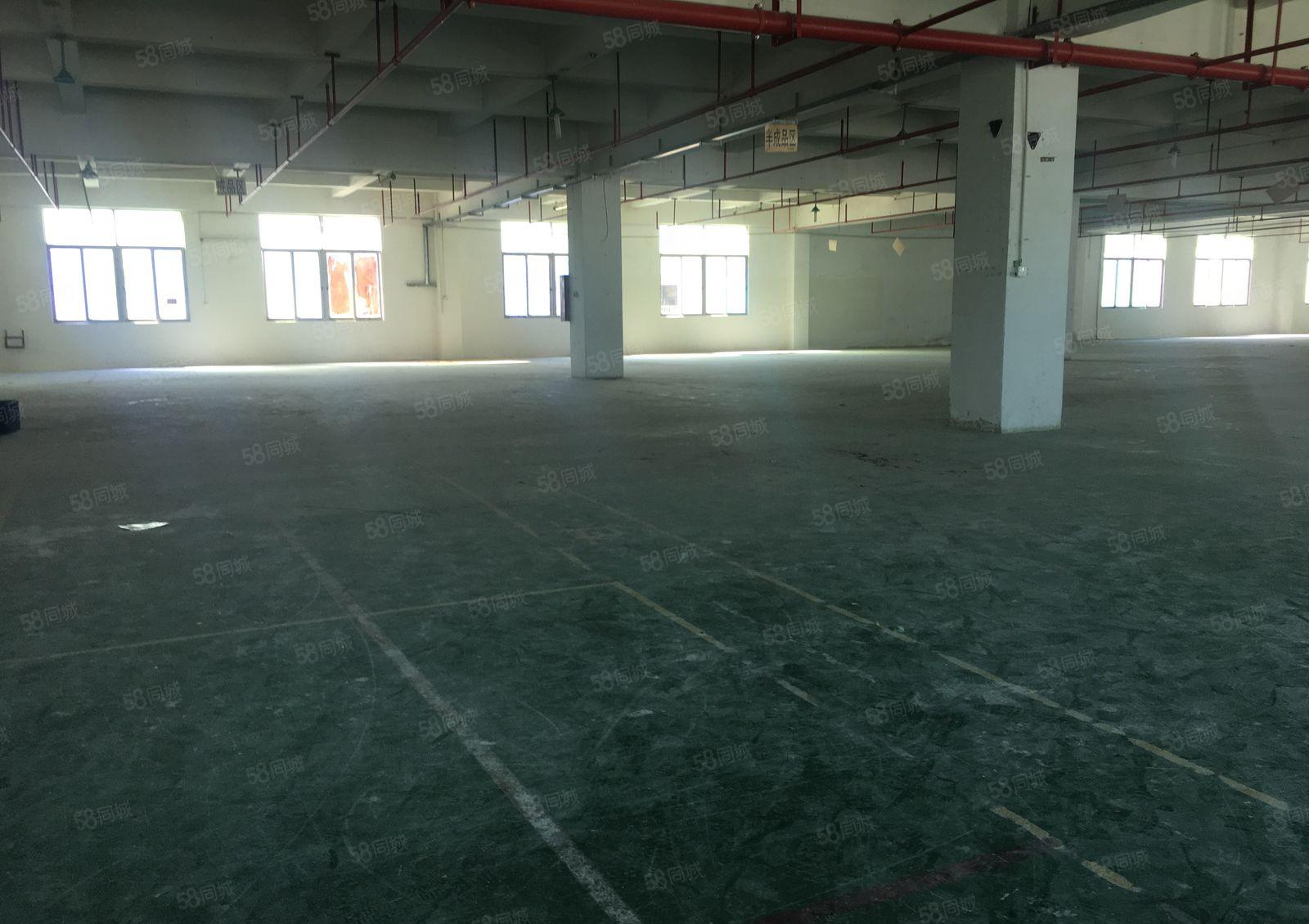 清溪大浦工业区一楼2百5百8百1千平独门独院仓库厂房出租分租