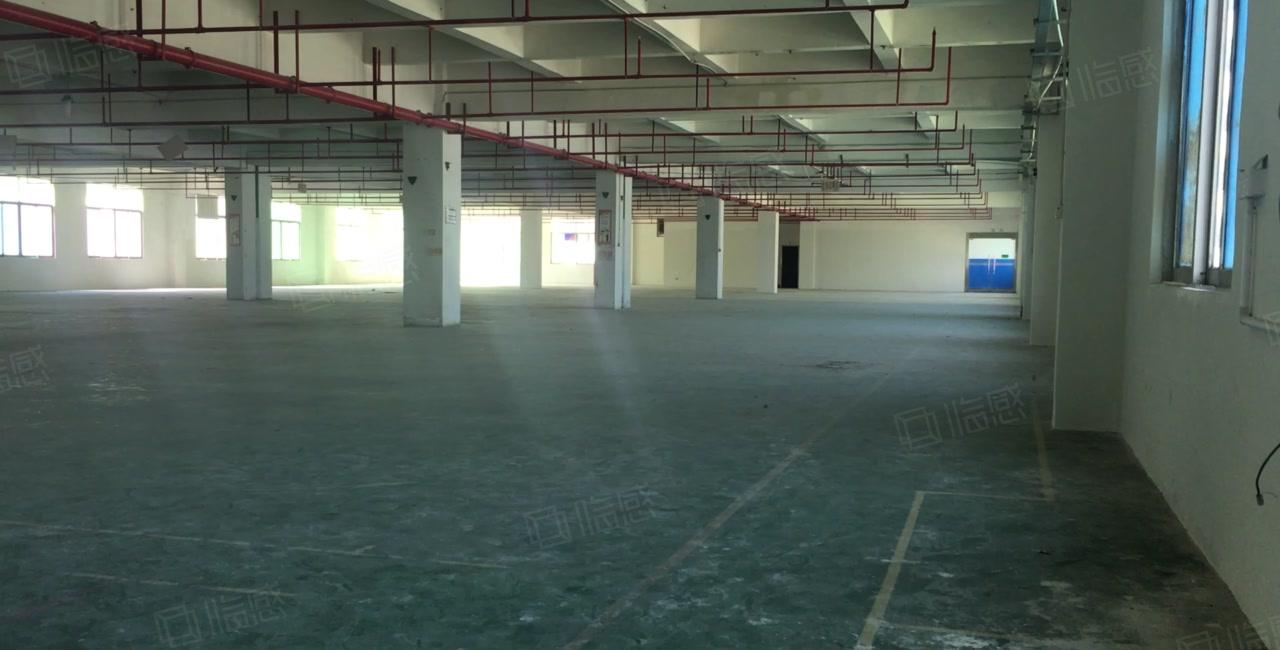 清溪大浦工业区一楼2百5百8百1千平独门独院仓库厂房出租分租