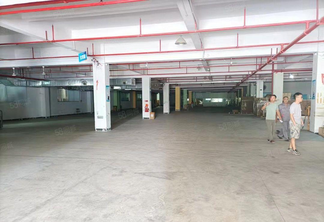 清溪镇新出物流仓7000平方出租，专用卸货平台，交通便利。