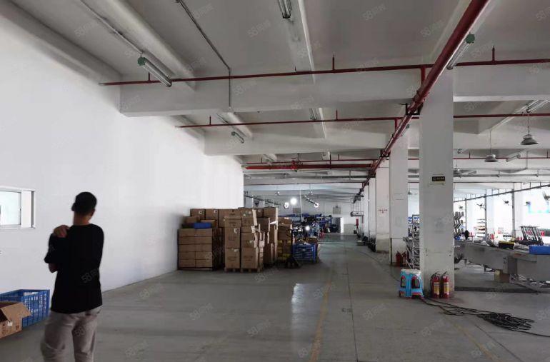 清溪三中村委独院标准厂房4500平空地大厂房仓库出租