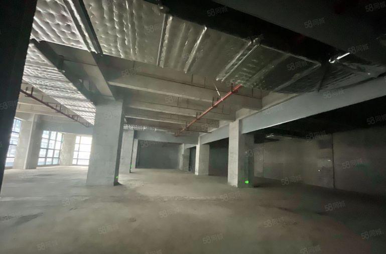 东莞雁田京东智谷 全新园区厂房500平以上招租 免租长可装修