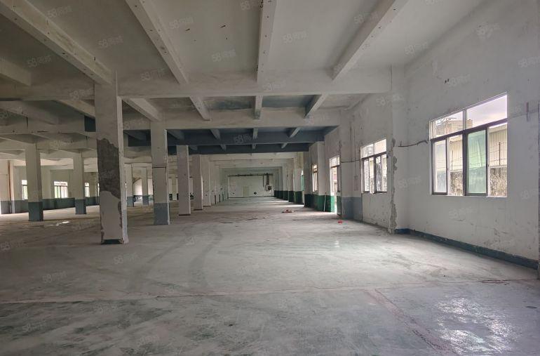 清溪新出村委独门独院6700平标准厂房出租，空地大好招工