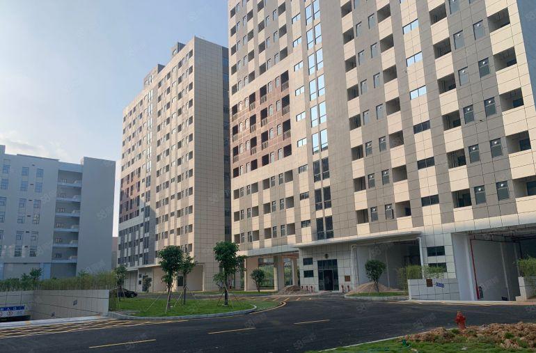 东莞市清溪镇铁松村原房东国有红本花园式标准厂房出租