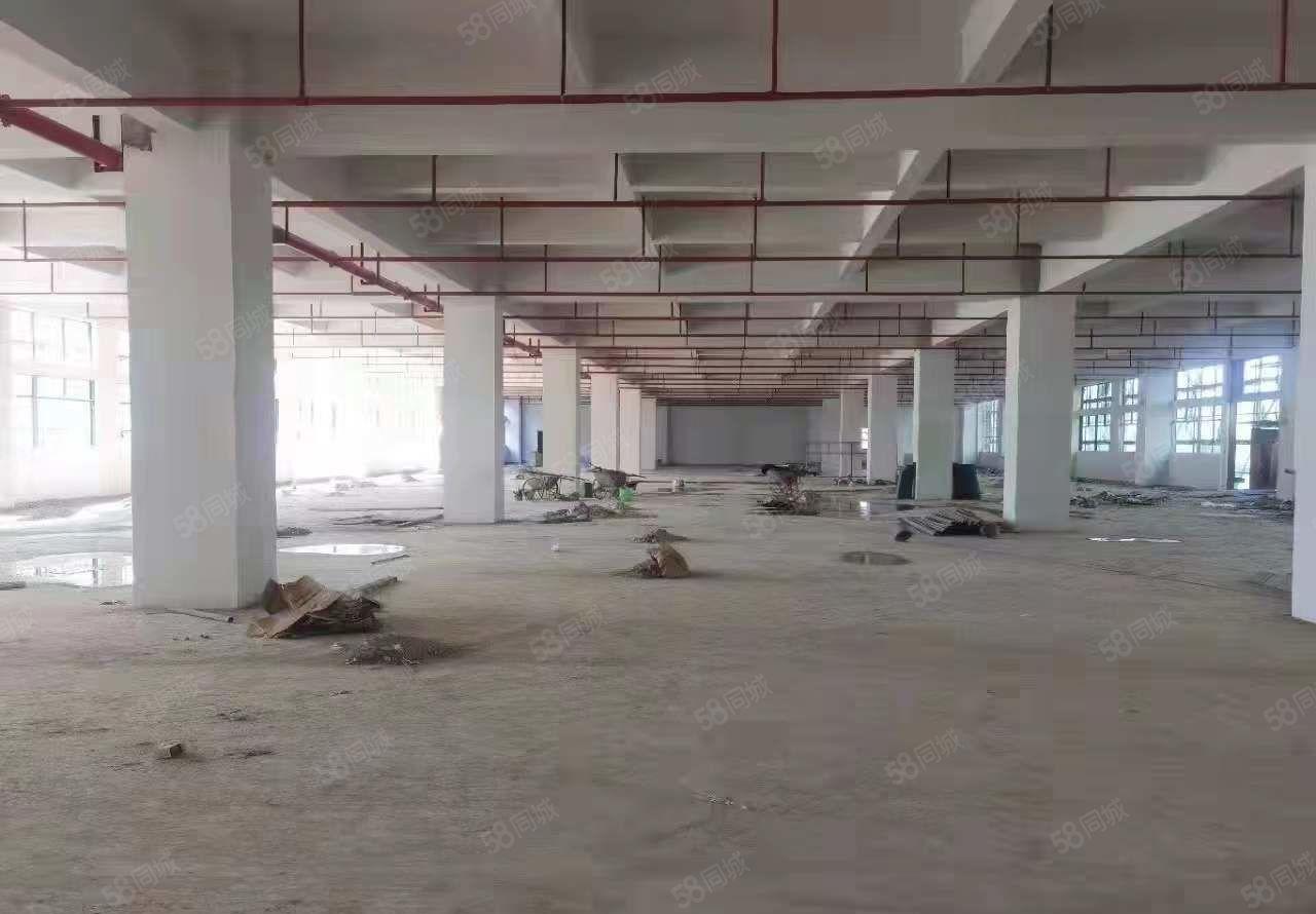 有红本，清溪原房东全新独院厂房出租4万平方，可分租