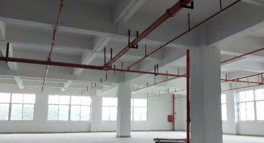 可办环评凤岗金凤凰科技园出租楼上4300平可分租交通方便