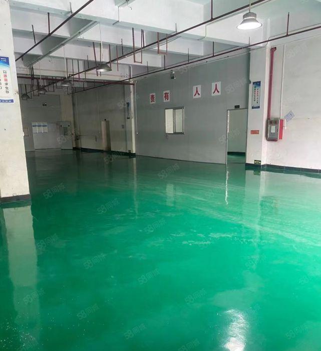 急租横沥镇原房东独院适合五金机械设备冲压注塑等行业