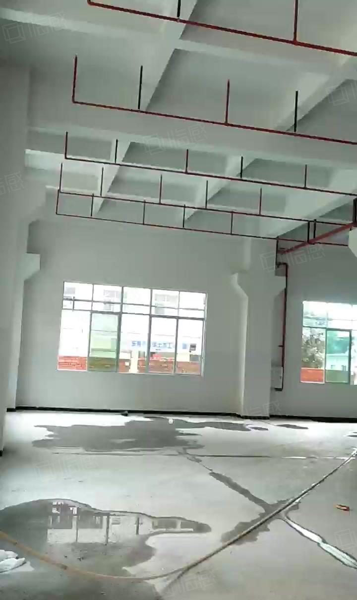 横沥镇新出全新厂房13000平一楼6.8米大小可分消防喷淋
