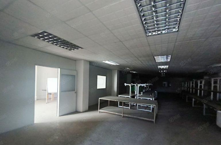 横沥镇经典独院标准厂房1200平方低价出租带现成办公室