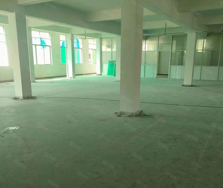 横沥独栋厂房低价出租