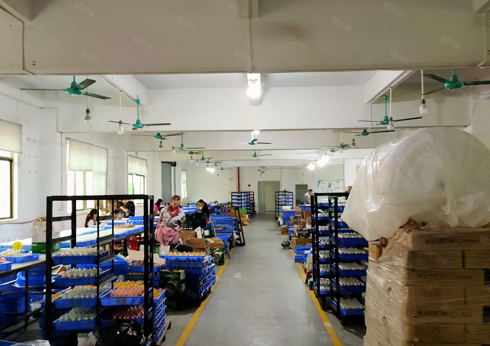 横沥独门独院厂房出租，2400平，现成办公室水电装修，可分租