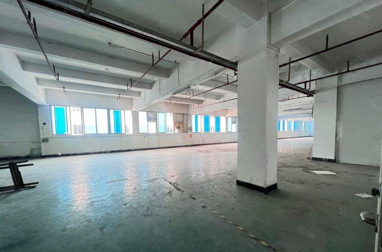 在横沥10块租厂房 电梯1300平 独院标准 大马路边工业区