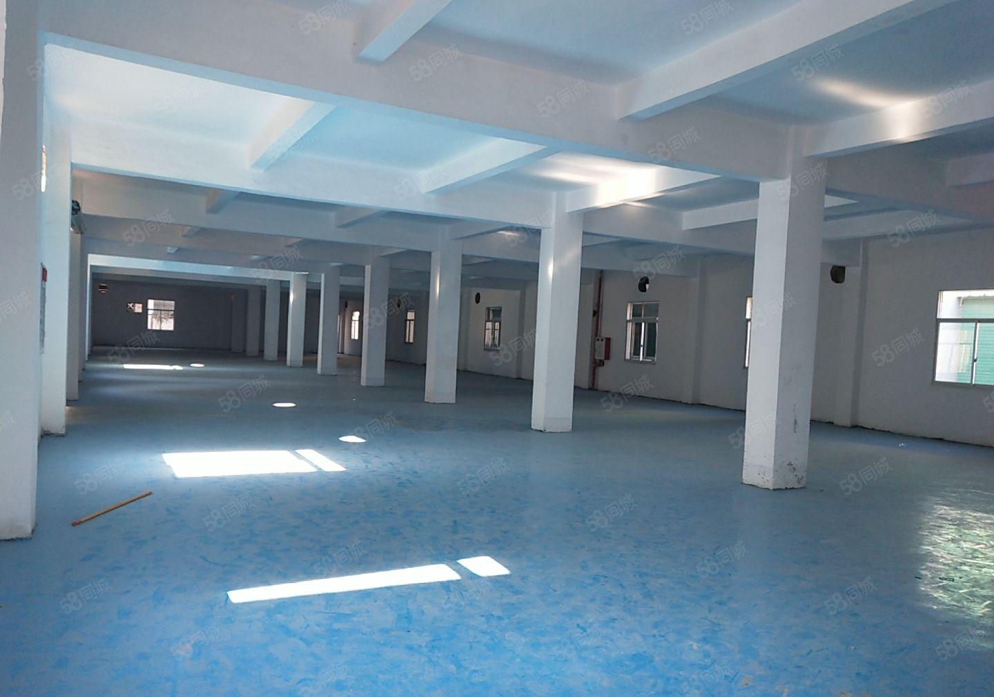 低价厂房经典小独院4800平 工业用地成熟工业区配套齐全