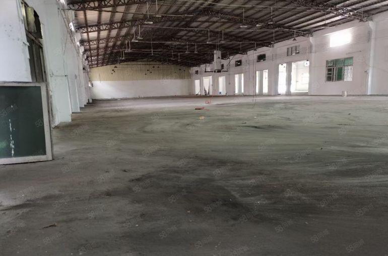 横沥镇单一层厂房出租1000平方水电齐全，200平起分