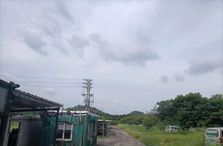 横沥镇13000平方空地出租，可做网红打卡地，堆放等行业