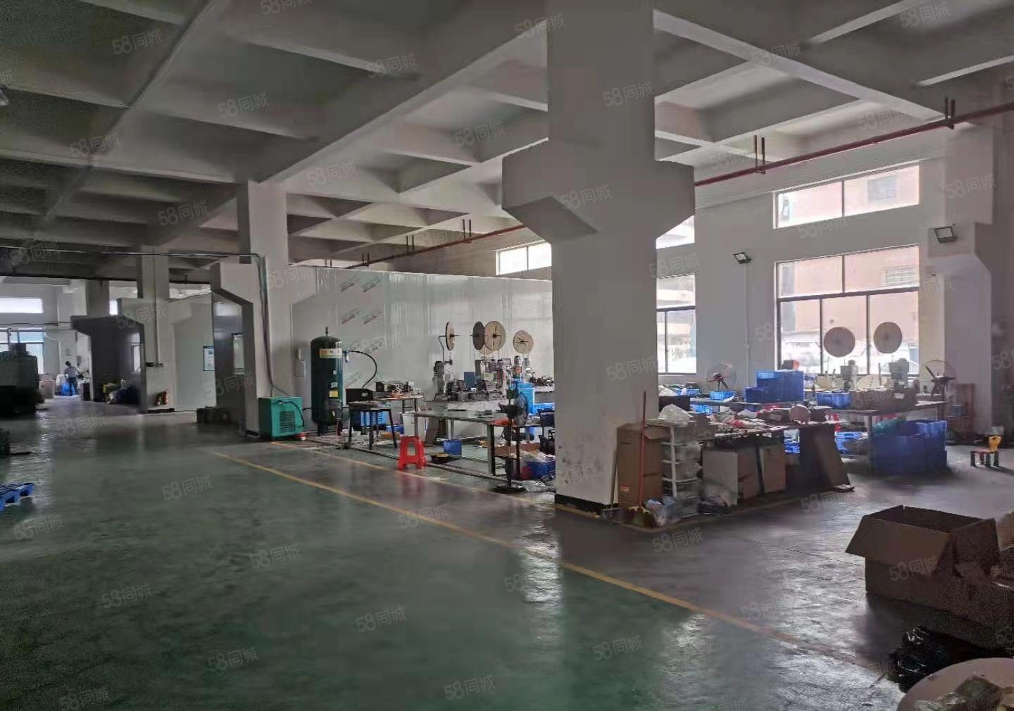 横沥镇山厦工业区标准厂房一楼1800平方，高度6.8米带牛角