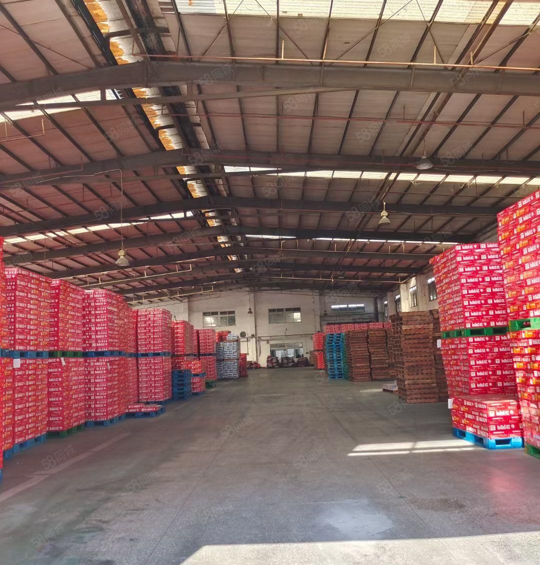 横沥镇原房东单一层2800平滴水9米拖头可倒入车间现成办公室