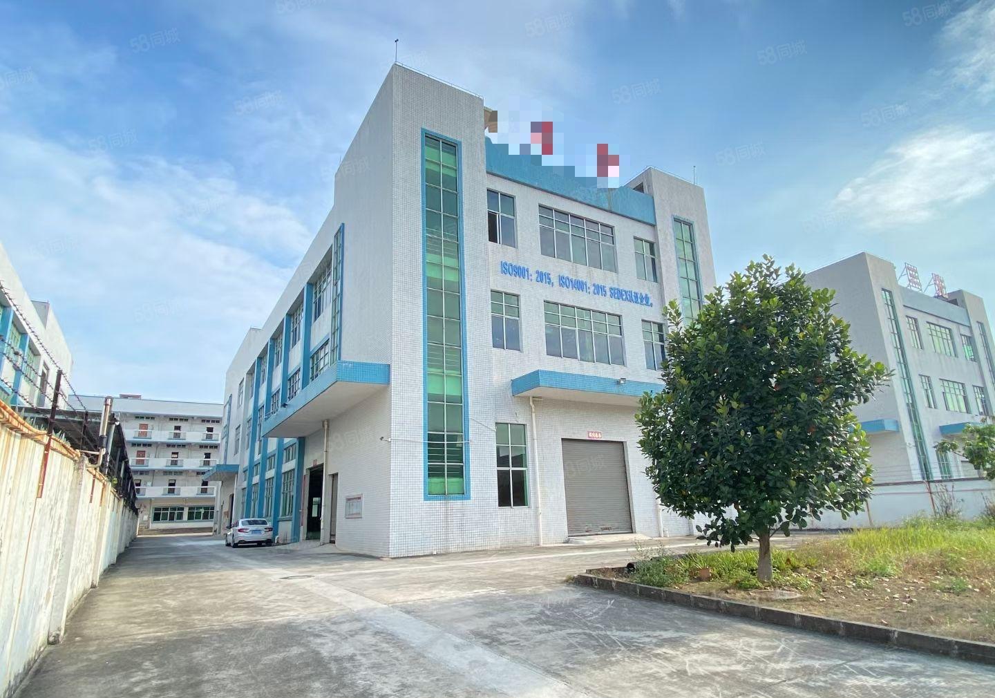 横沥镇新空出9成新花园式独门独院6200平方可办环评