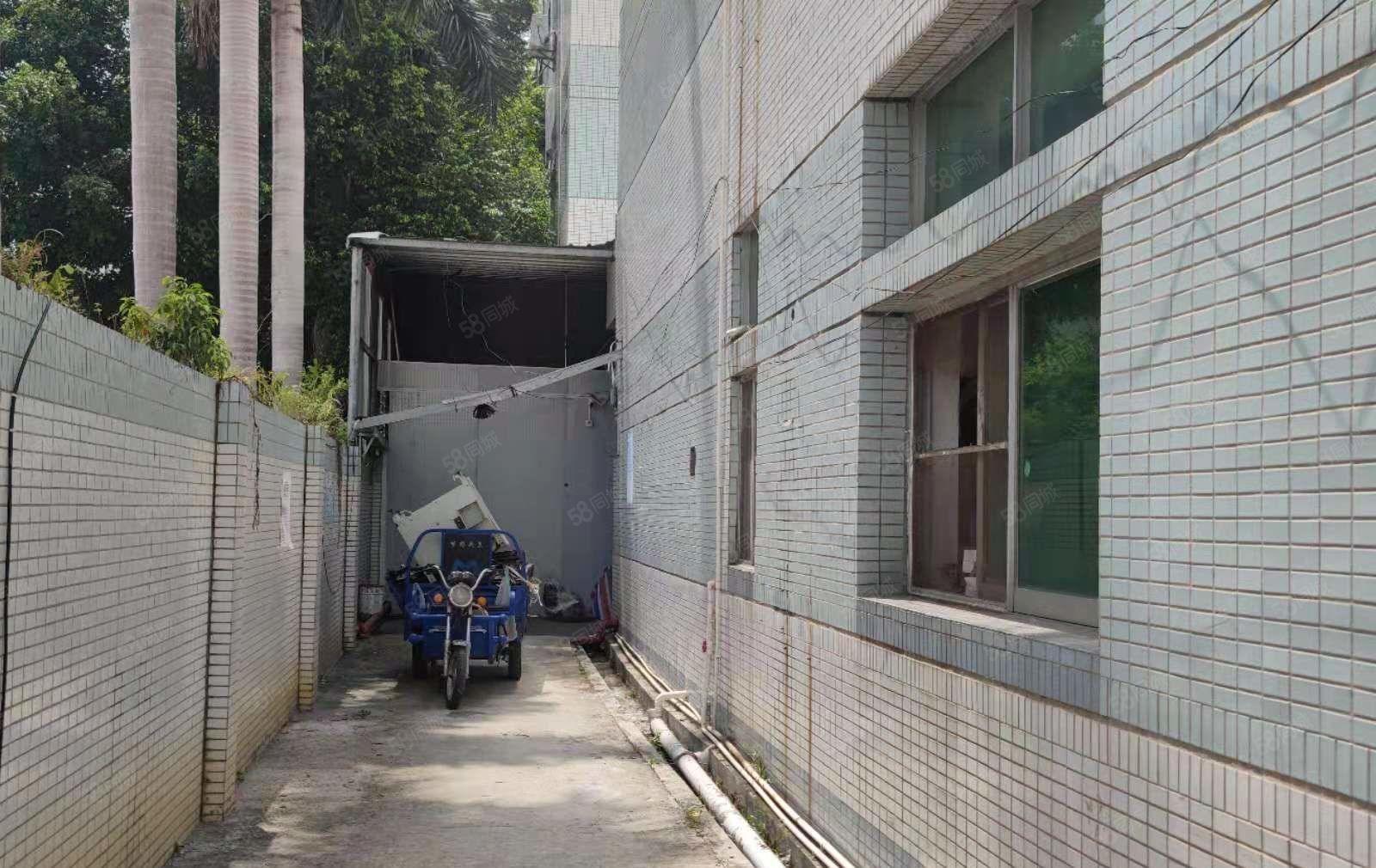 横沥三江工业区新出小面积厂房二楼350平方